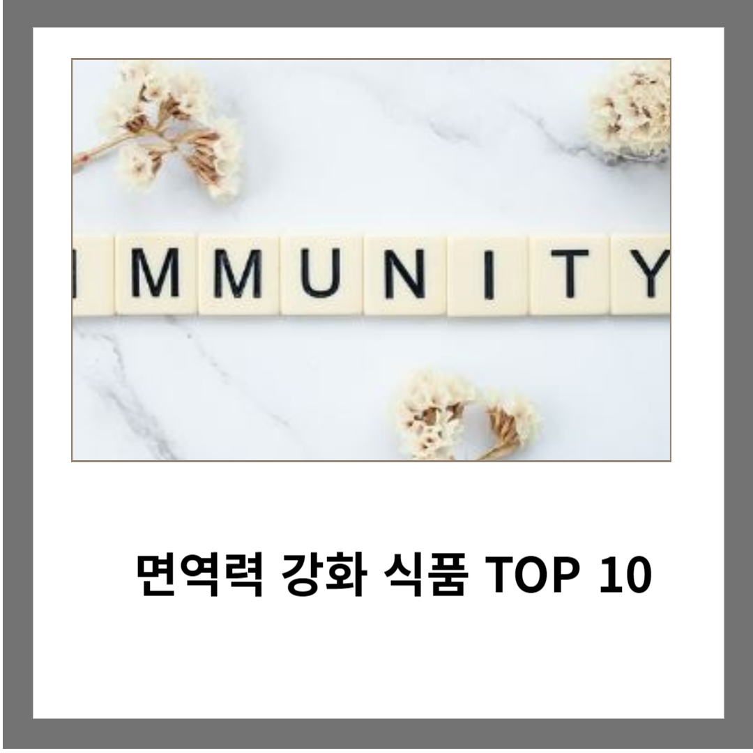 면역력 강화 식품